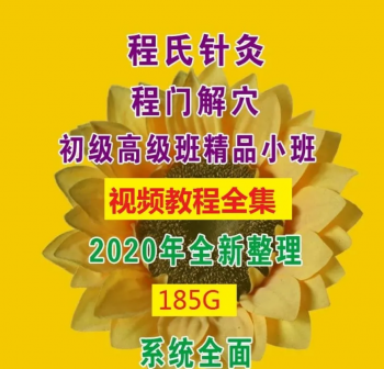 程氏针灸程门解穴精品小班培训全程视频教程-百度网盘下载-正骨教程博客