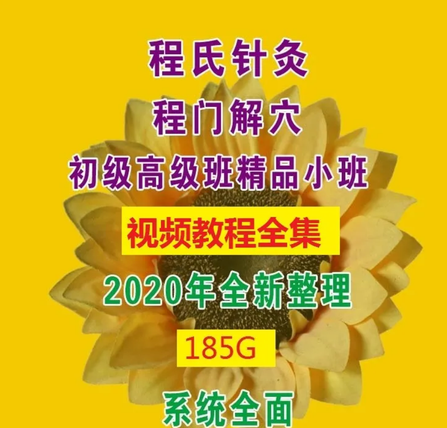 程氏针灸程门解穴精品小班培训全程视频教程【百度网盘下载】