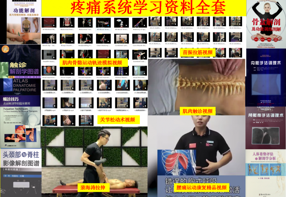一套可以帮助您快速解决疼痛问题的疼痛必备中医自学视频教程【百度网盘下载】