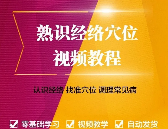 中医人必学的经络课:记住经络,找准穴位零基础自学中医视频教程【百度网盘下载】