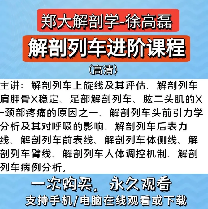 郑大解剖学徐高磊解剖列车进阶课程中医基础自学高清视频教程【百度网盘下载】
