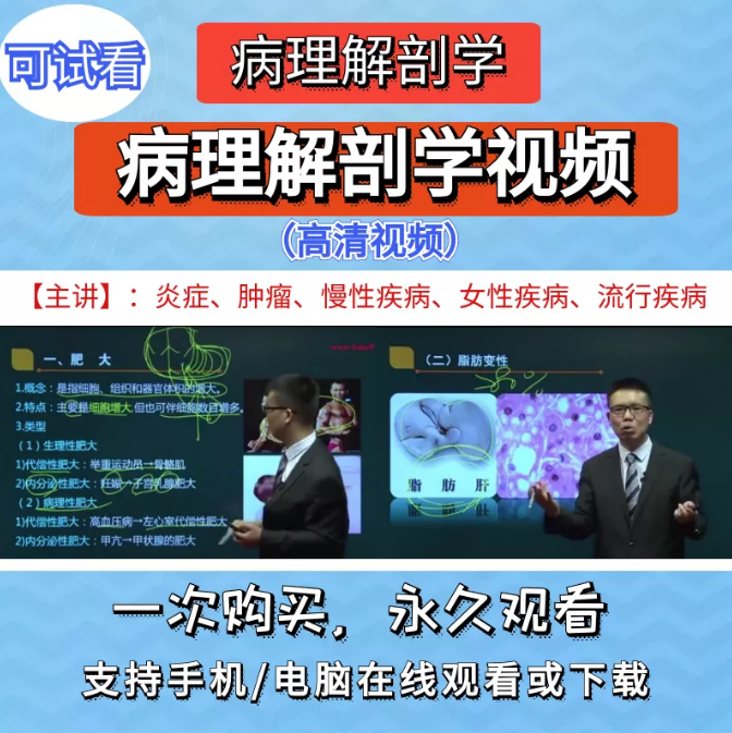 病理解剖学视频教程专升本病理解剖学52讲【百度网盘下载】