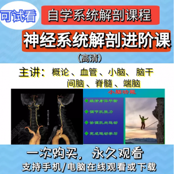 神经系统解剖进阶课高清视频教程血管颅脑脊髓神经解剖影像学-百度网盘下载-正骨教程博客