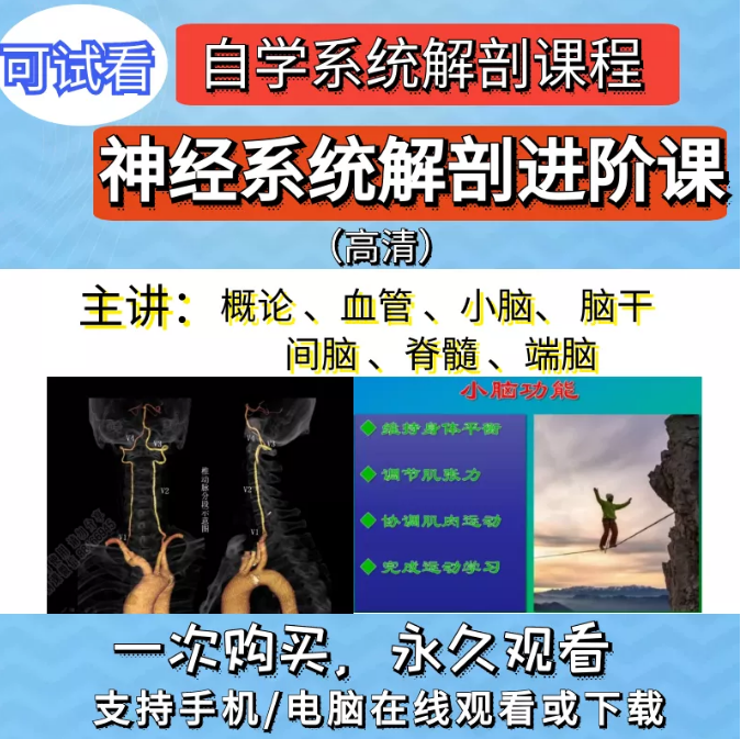 神经系统解剖进阶课高清视频教程血管颅脑脊髓神经解剖影像学【百度网盘下载】
