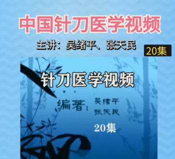 小针刀视频张天民吴绪平中国针刀医学大型系列视频教程20集-百度网盘下载-正骨教程博客