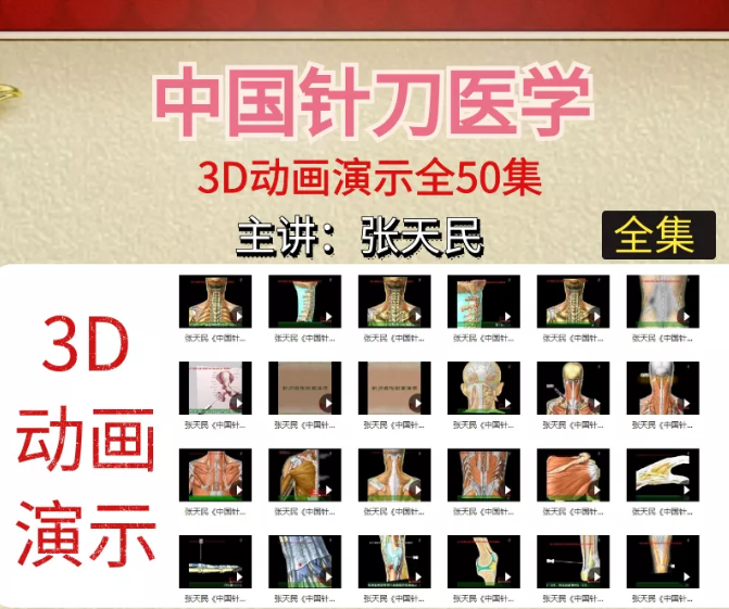 小针刀视频教程张天民中国针刀医学3D动画演示50集完整版【百度网盘下载】