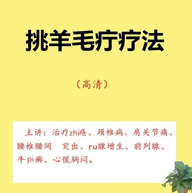 挑羊毛疔疗法针法针刺穴位经络经脉中医视频教程【百度网盘下载】