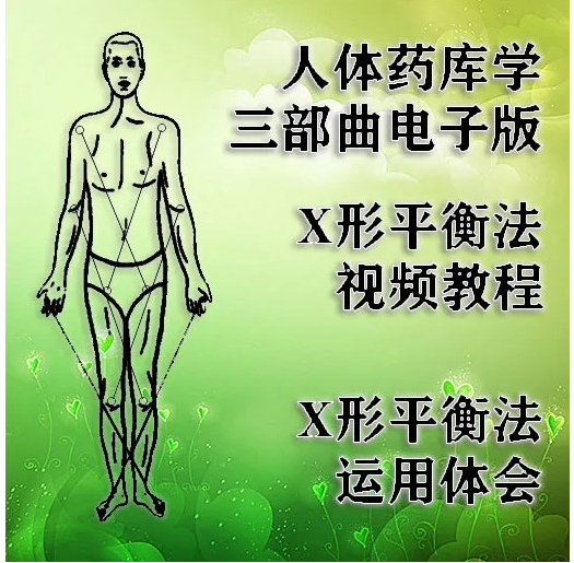 【周尔晋人体X形平衡法视频教程】火柴棒医生人体药库学三部曲电子教材【百度网盘下载】