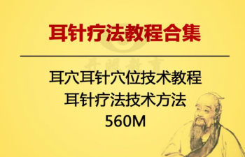 耳针疗法耳穴耳针穴位技术视频教程-百度网盘下载-正骨教程博客