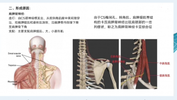 【中医精品课程】学会这6课，轻松解决六大综合征高清视频教程-百度网盘下载-正骨教程博客