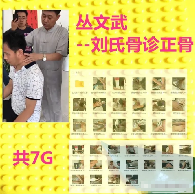 丛文武-刘鳌弟子刘氏骨疗摸骨知病骨诊正骨手法视频教程【百度网盘下载】