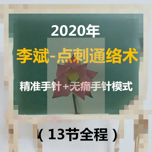 李斌点刺通络术第1期13节全程视频教程【百度网盘下载】