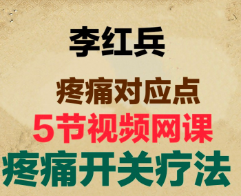 2020年李红兵疼痛对应点疼痛开关中医视频教程-百度网盘下载-正骨教程博客