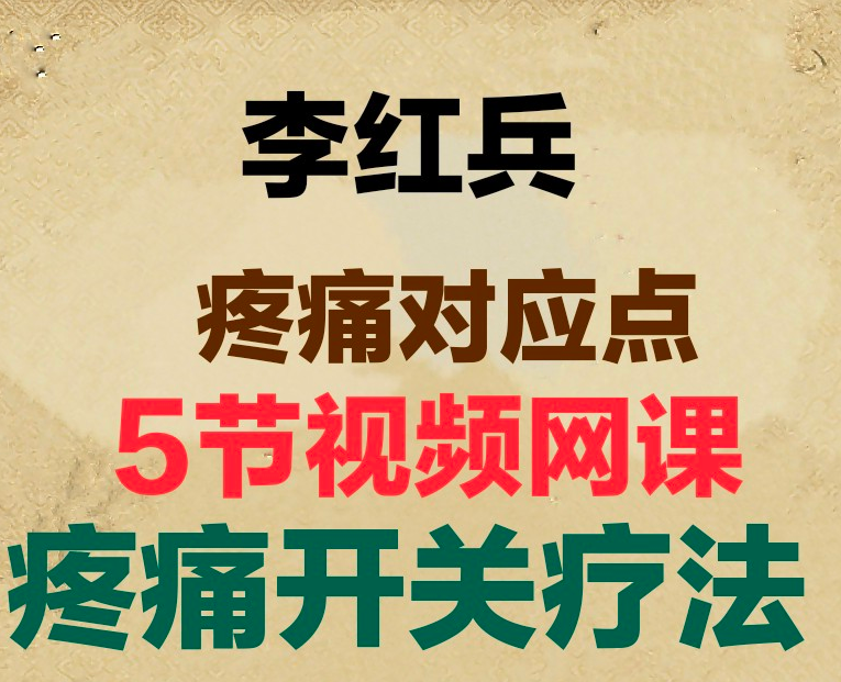 2020年李红兵疼痛对应点疼痛开关中医视频教程【百度网盘下载】