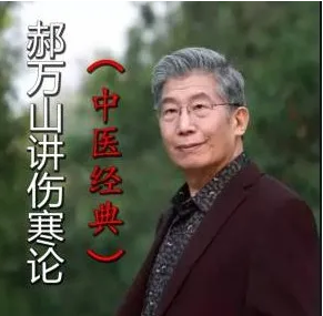 郝万山讲伤寒论北京中医药大学70集完整版中医自学视频课程【百度网盘下载】