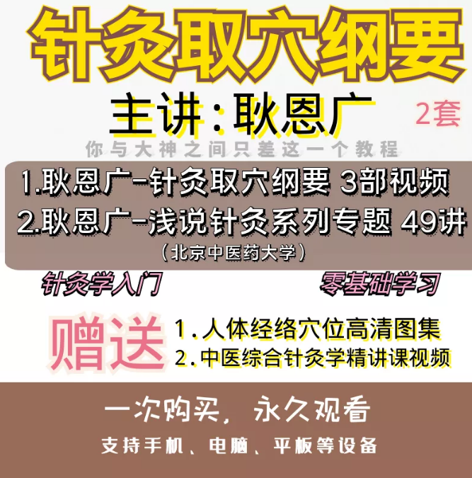 针灸学入门耿恩广针灸取穴纲要3集+浅说针灸49讲视频教程合集【百度网盘下载】