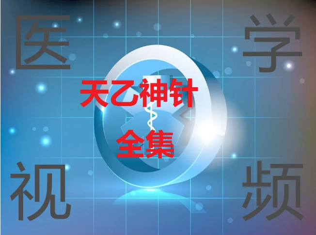 张伟杰天乙神针讲座精品课高清视频教程【百度网盘下载】