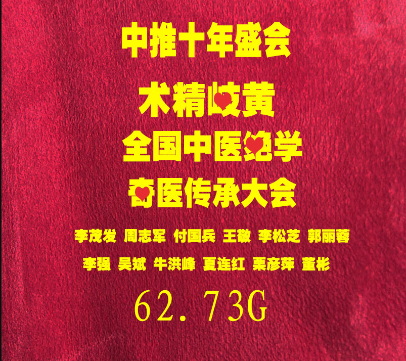 中推十年盛会术精岐黄全国中医绝学奇医传承大会高清视频教程
