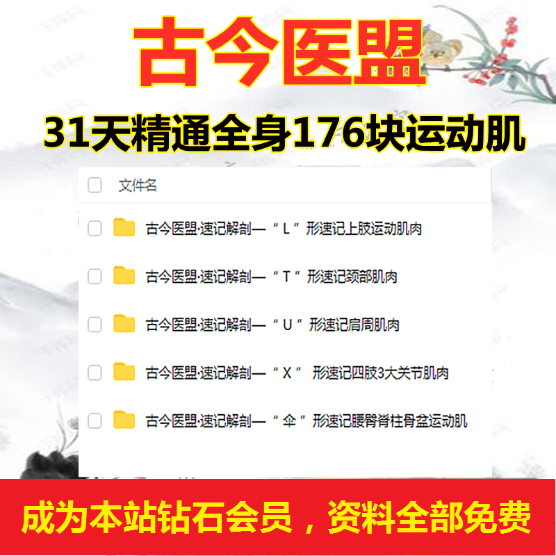 古今医盟31天精通全身176块运动肌高清视频课程-百度网盘下载