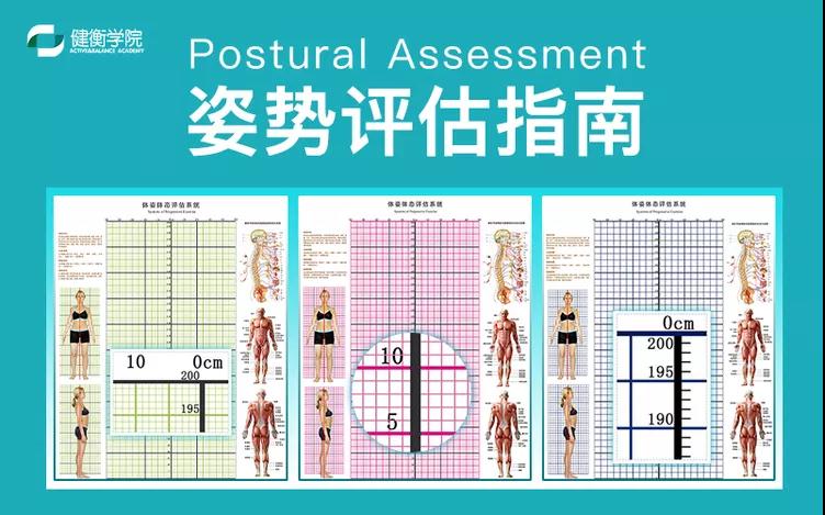 翟佳栋姿势评估指南全集高清视频教程18课-百度网盘下载