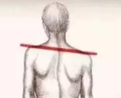 【正骨知识】我们为什么要用正骨手法调理骨骼？？