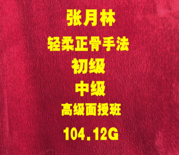 张月林轻柔正骨初中高级面授班正骨培训视频教程-百度网盘下载-正骨教程博客