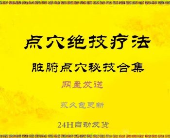 道医脏腑点穴秘技杨际平脏腑点穴技法李林点穴法中医视频教程-百度网盘下载-正骨教程博客