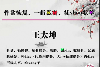 王太坤石家庄徒手私密骨盆产后教学培训含动作分解视频教程-百度网盘下载-正骨教程博客