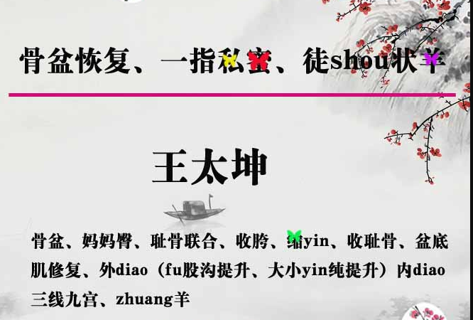 王太坤石家庄徒手私密骨盆产后教学培训含动作分解视频教程-百度网盘下载