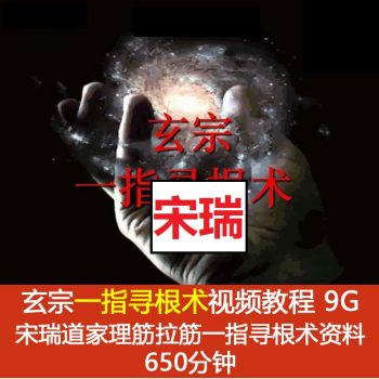 【宋瑞道家玄宗一指寻根术】视频教程650分钟加课件-百度网盘下载-正骨教程博客