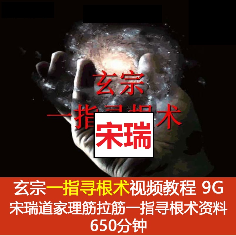 【宋瑞道家玄宗一指寻根术】视频教程650分钟加课件-百度网盘下载