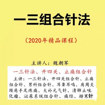【魏朝军一三针法】中医针灸学视频教程14讲全集-百度网盘下载-正骨教程博客