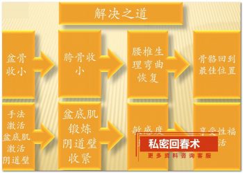 【私密回春术高清视频课程】收耻骨收跨收骨盆收腰椎徒手缩阴-百度网盘下载-正骨教程博客
