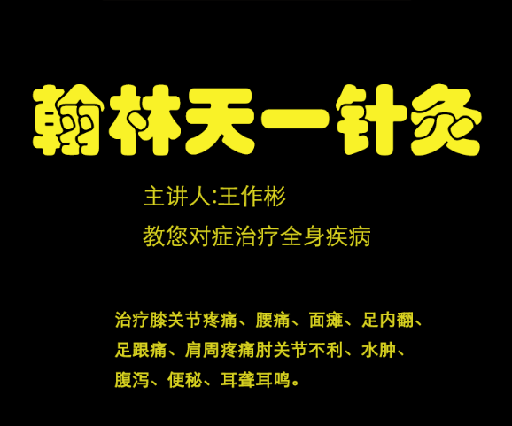 【2020瀚林天一疗法】王作彬中医针灸治疗疼痛视频教程-百度网盘下载