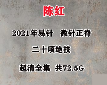 2021年陈红易针疗法微针正脊二十项绝技中医视频教程合集-百度网盘下载-正骨教程博客