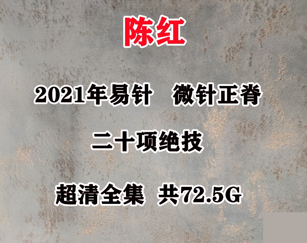2021年陈红易针疗法微针正脊二十项绝技中医视频教程合集-百度网盘下载