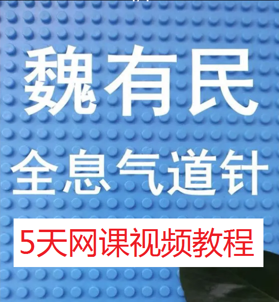 魏友民魏氏全息气道针培训班5天视频教程【百度网盘下载】