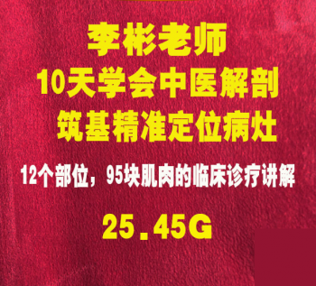 李彬10天学会中医解剖筑基精准定位病灶视频教程-百度网盘下载-正骨教程博客