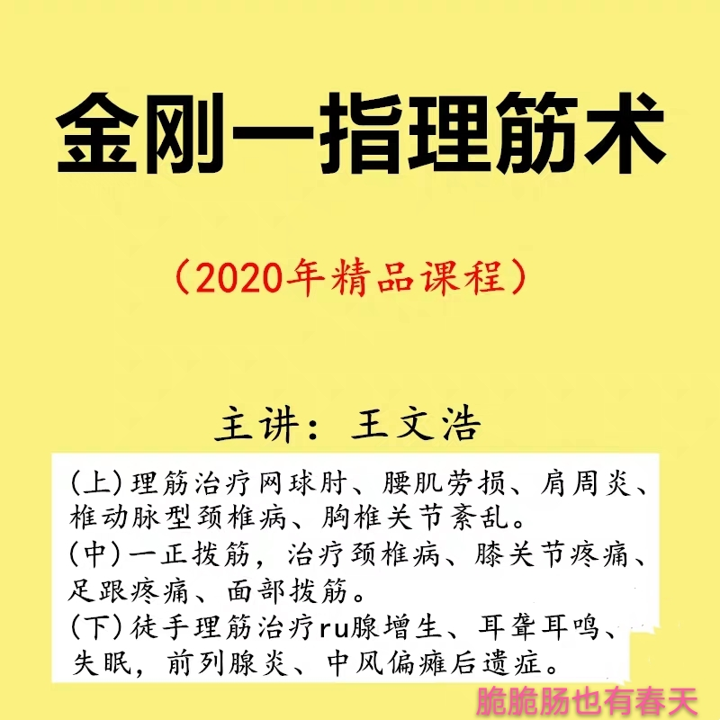 王文浩杨氏金刚一指理筋术正骨视频教程-百度网盘下载