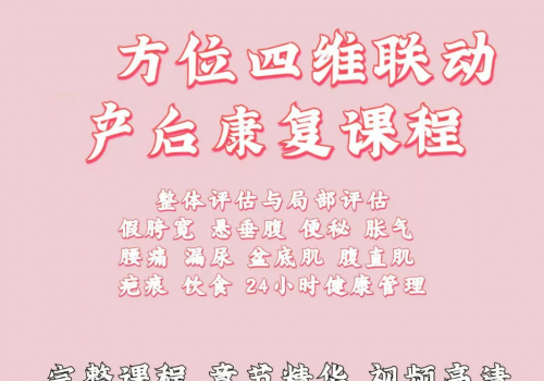 【四维联动产后康复视频教程】程丽丽主讲产后康复课程百度网盘下载