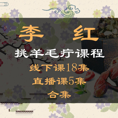  李红挑羊毛疔课程线下课加直播课讲解及实操视频教程-百度网盘下载