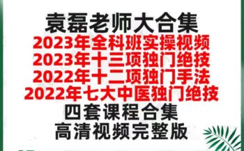 袁磊全科班四套课程新课合集高清视频教程-百度网盘下载-正骨教程博客